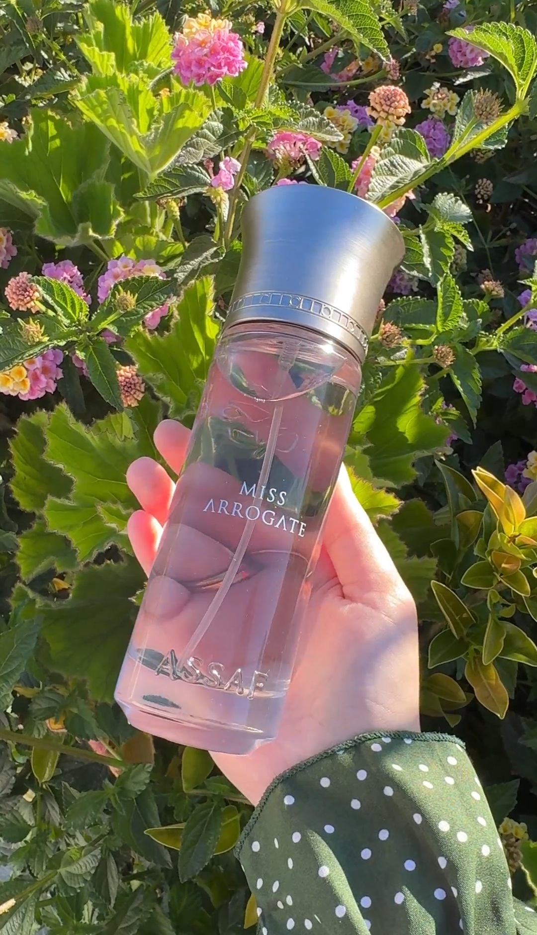 عطر Miss Arrogate من عساف